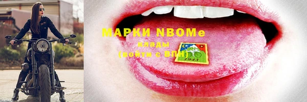 гидра Верхний Тагил