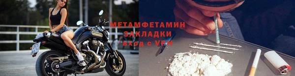 ГАЛЛЮЦИНОГЕННЫЕ ГРИБЫ Коряжма