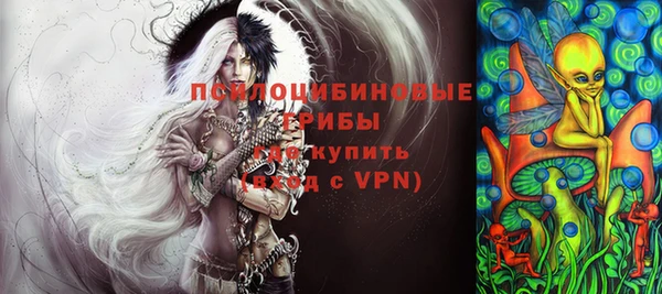 ГАЛЛЮЦИНОГЕННЫЕ ГРИБЫ Коряжма
