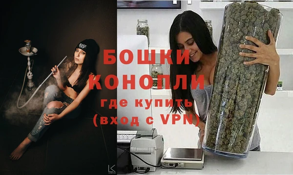 ГАЛЛЮЦИНОГЕННЫЕ ГРИБЫ Коряжма