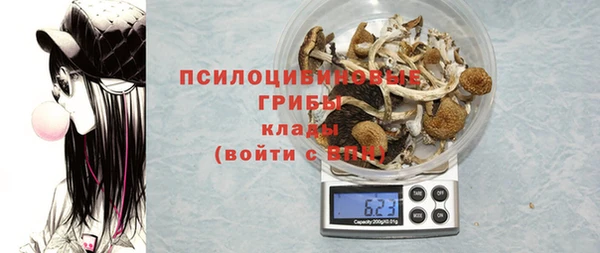 PSILOCYBIN Беломорск