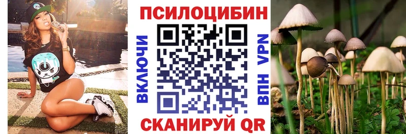 Псилоцибиновые грибы Cubensis  Новошахтинск 