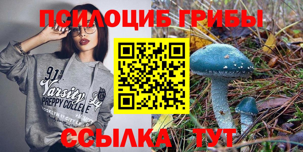 Галлюциногенные грибы GOLDEN TEACHER  наркотики  Новошахтинск 