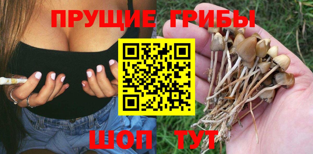 Галлюциногенные грибы MAGIC MUSHROOMS Новошахтинск