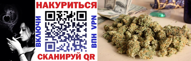 Конопля гибрид  наркошоп  Новошахтинск 